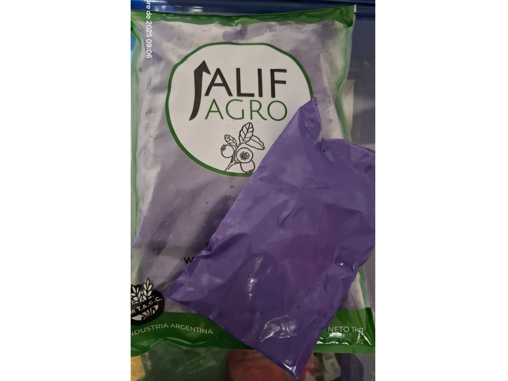 ARANDANOS Y ZARZAMORAS