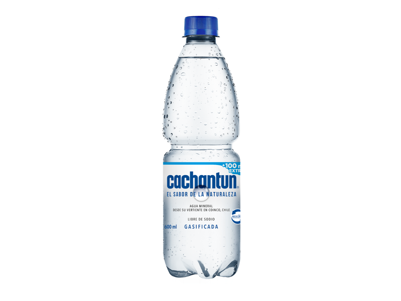 Agua mineral con gas Cachantun 600 ml