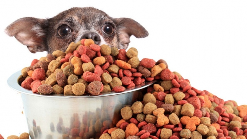 Alimento Balanceado PERRO