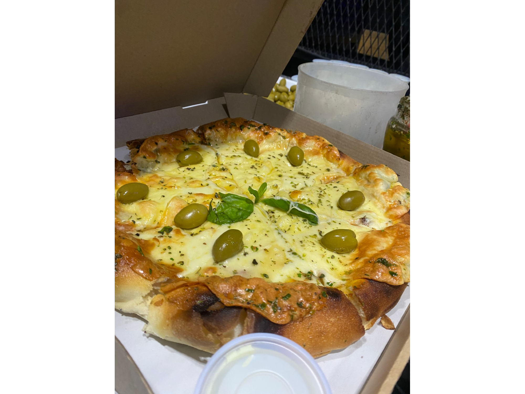 Provolone