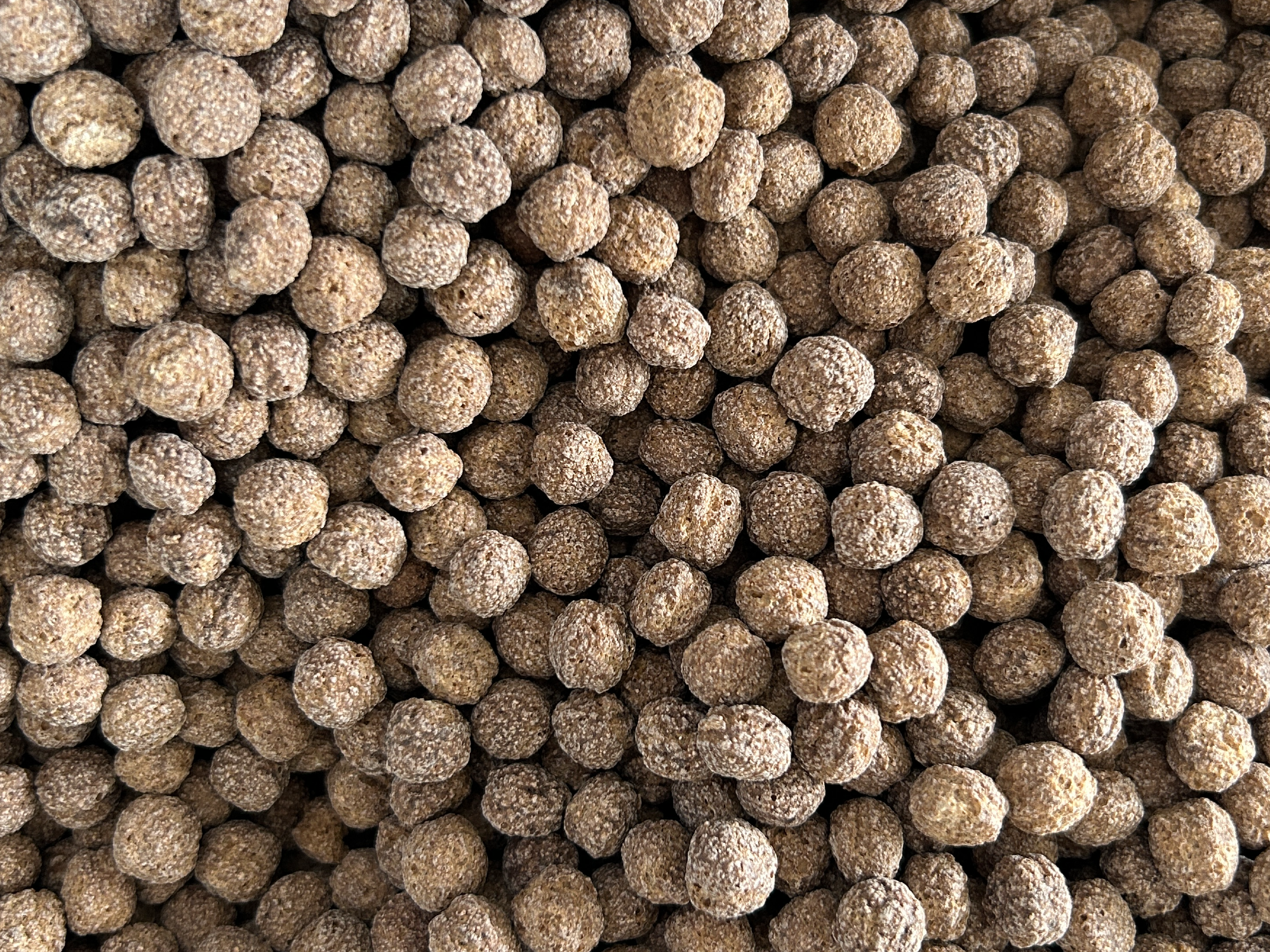 Bolitas de chocolate