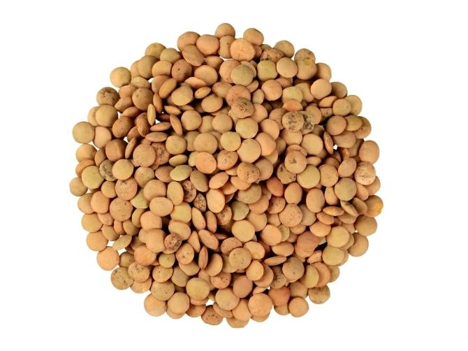 Lentejas Agroecológicas