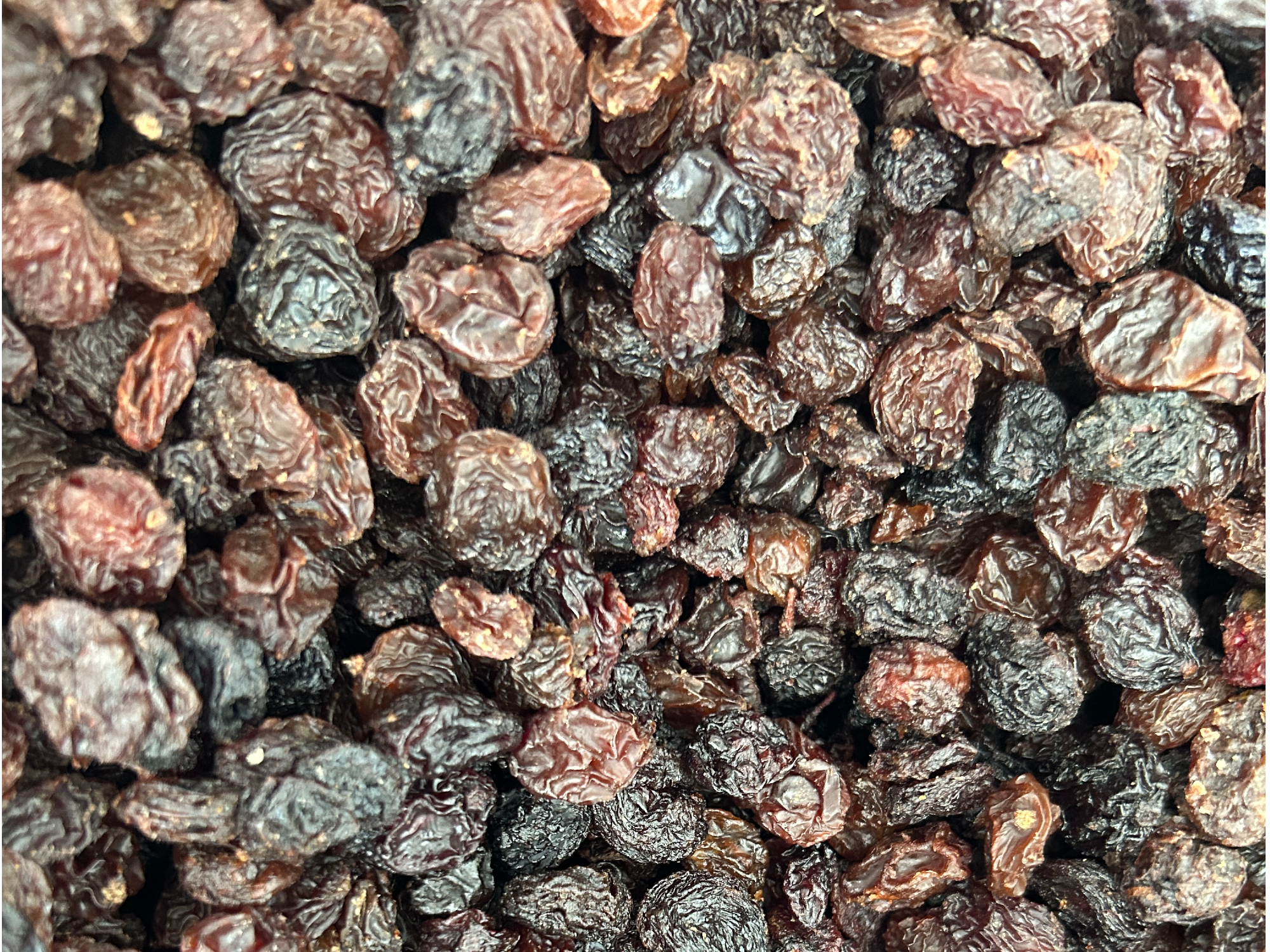 Pasas de Uva Negra sin semilla