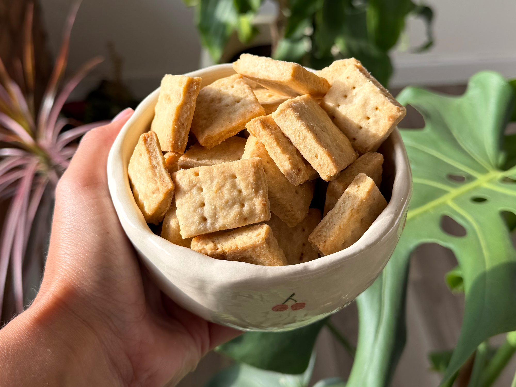 Materitas lowcarb