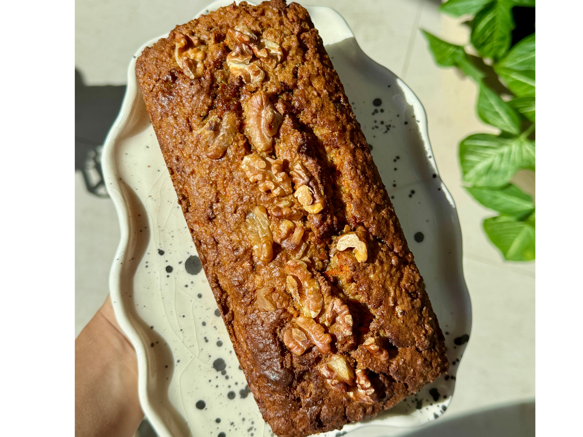 BUDIN CARROT CAKE