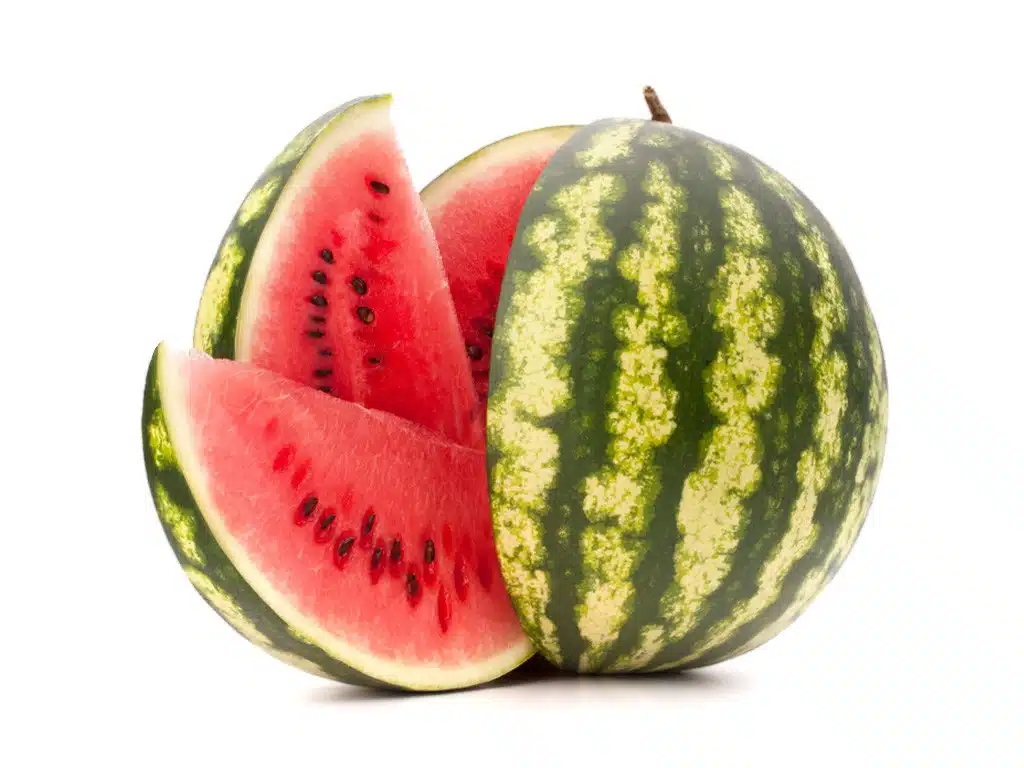 SANDIA 1 KILO