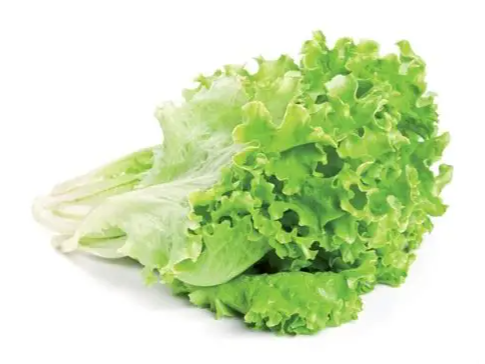LECHUGA CRESPA 300 GR