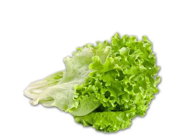LECHUGA CRIOLLA 300 GR