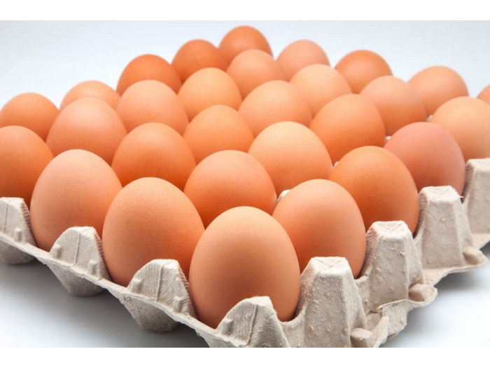 MAPLE HUEVOS COLORADOS DE CAMPO