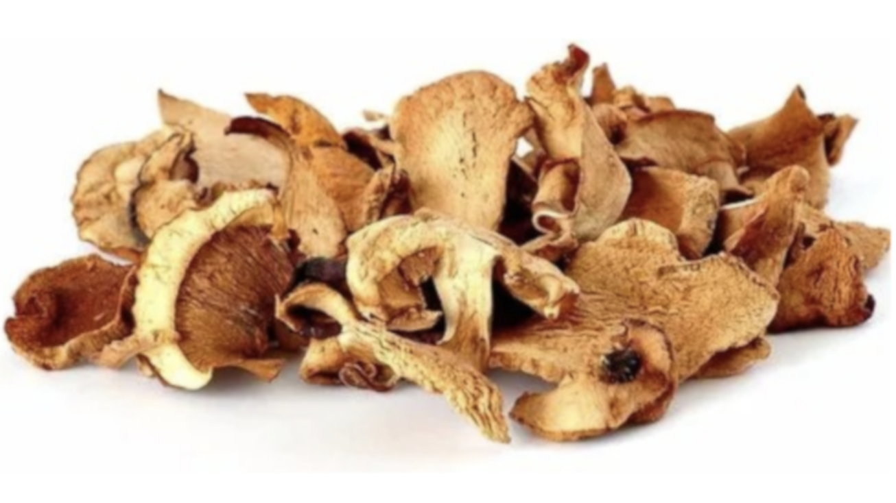 HONGOS DISECADOS