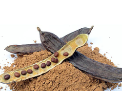 HARINA DE ALGARROBA TOSTADA