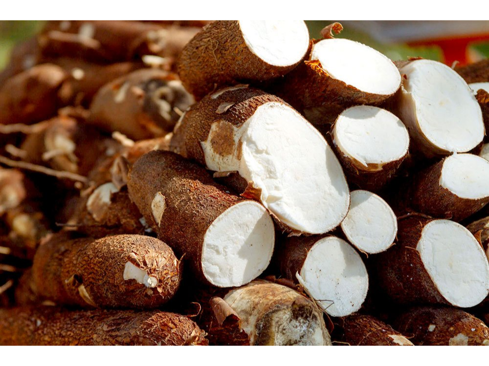 Mandioca Misionera Oferta 2kg