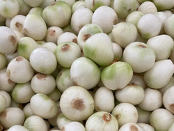 Cebolla Blanca 500gr