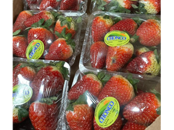 Frutillas Bandeja x500gr