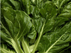 Acelga Mazo Grande