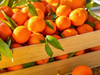 Mandarina 6 unidades