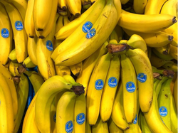 Banana Ecuador 500gr