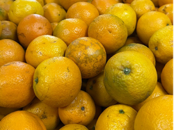 Naranja Jugo 6un