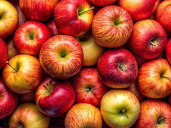 Manzana Comercial 1kg