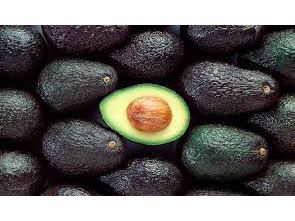 Palta Chilena 500gr