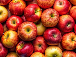 Manzana Comercial 500gr