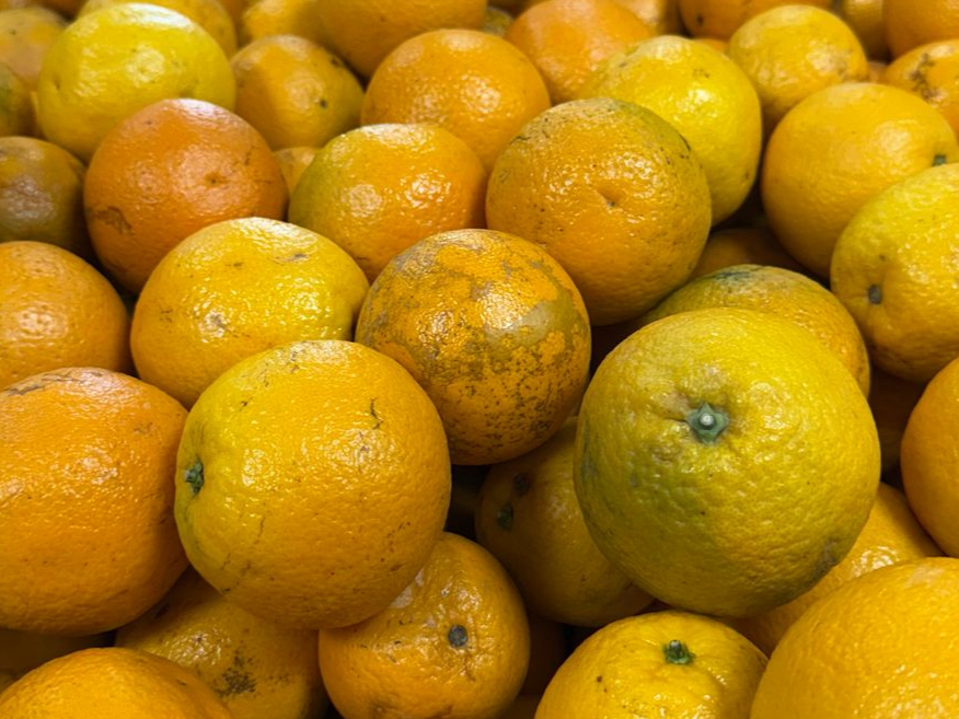 Naranja Jugo Oferta 2doc