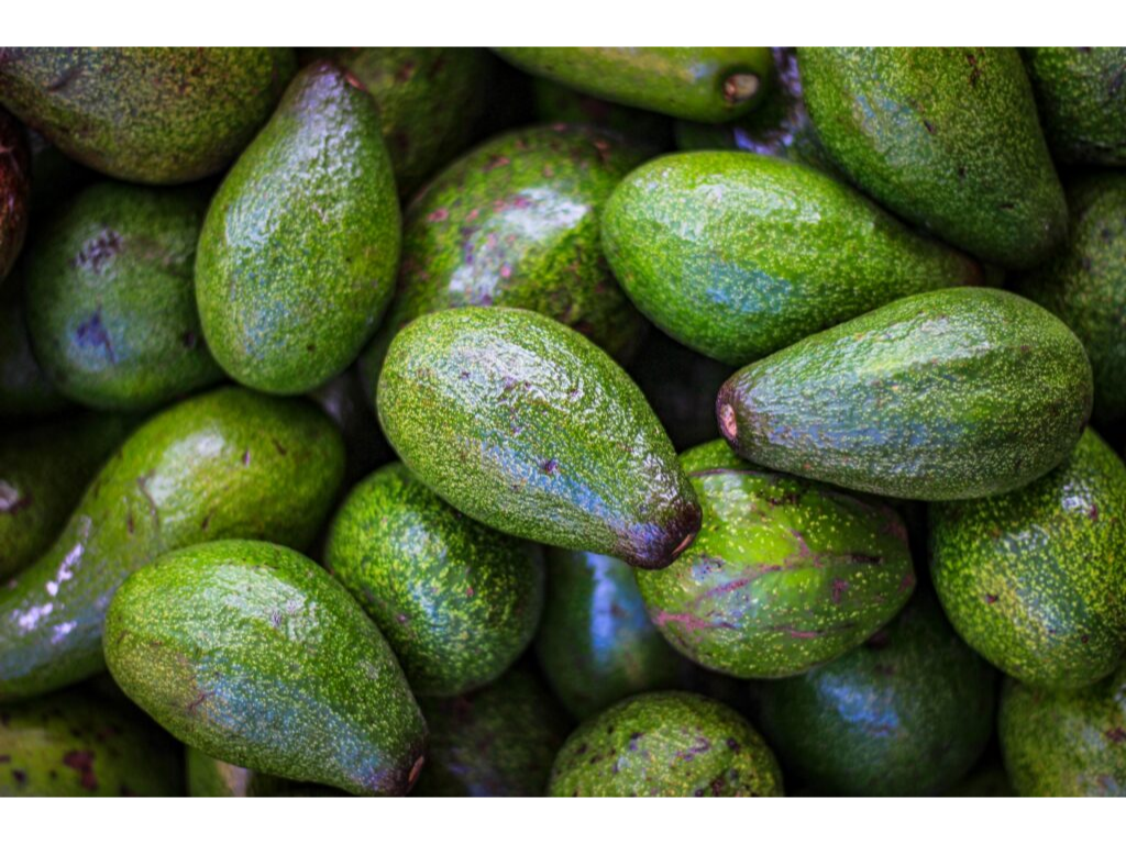 Palta 1 unidad (500gr aprox)