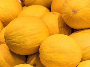 Melon Amarillo xunidad