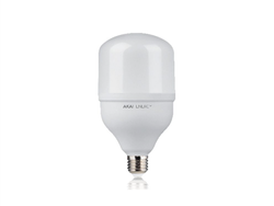 LAMPARA LED 25W PILA FRIA (2da MARCA DE PHILIPS)