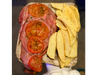 Milanesa Napolitana de 1