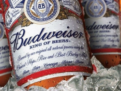 BUDWEISER 1L