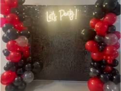 SHIMMER WALL + ESTRUC 2 x 2 MT+CARTEL LED (CONSULTAR CON SERV. GLOBOS)