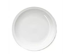 PLATO PRINCIPAL DE 25CM