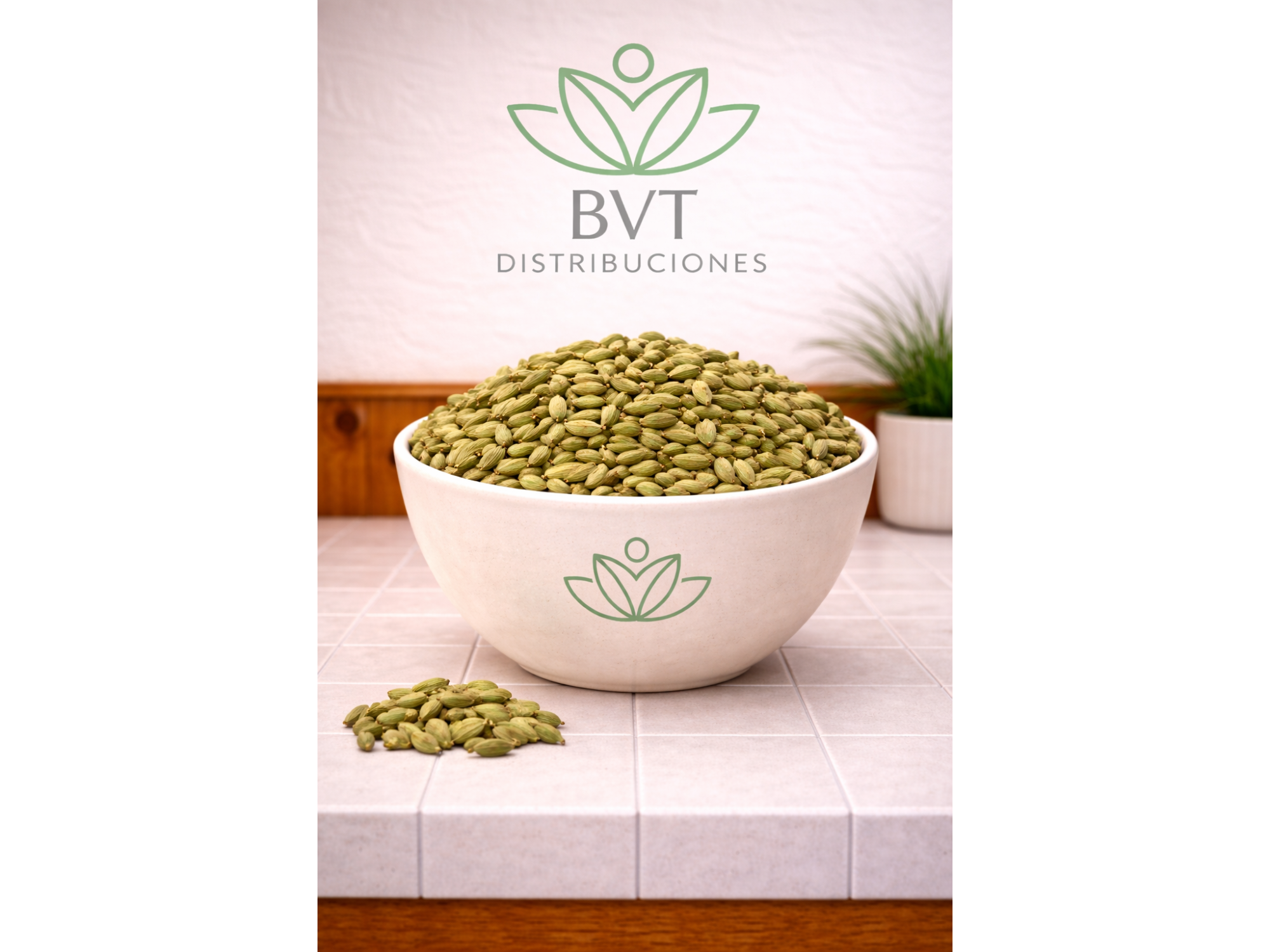 Cardamomo