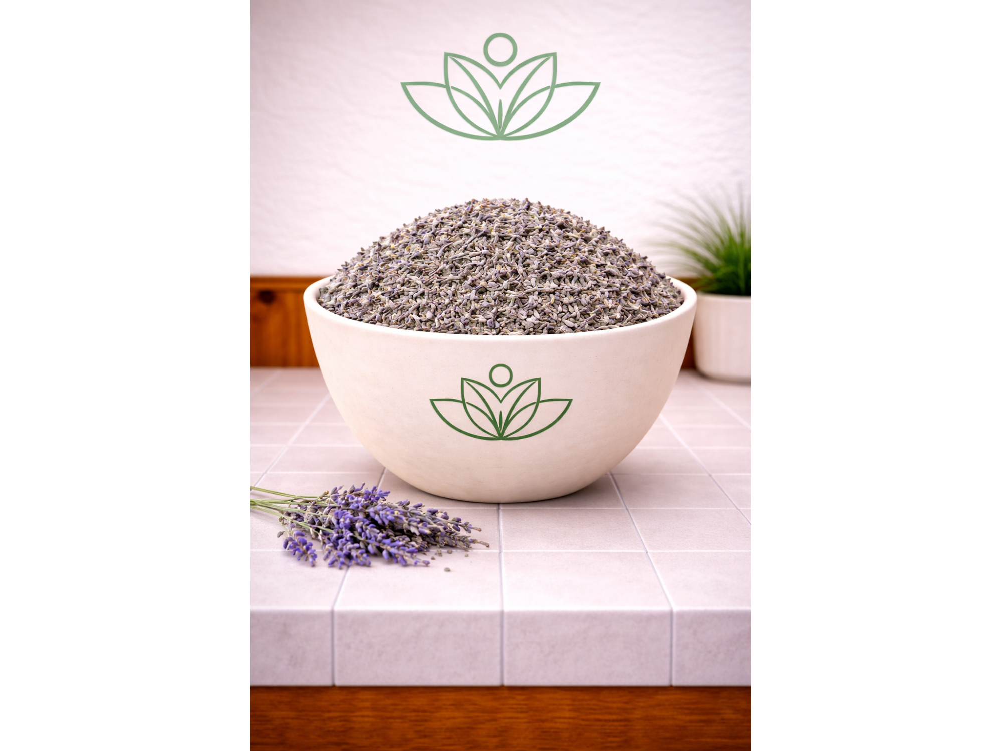 Lavanda