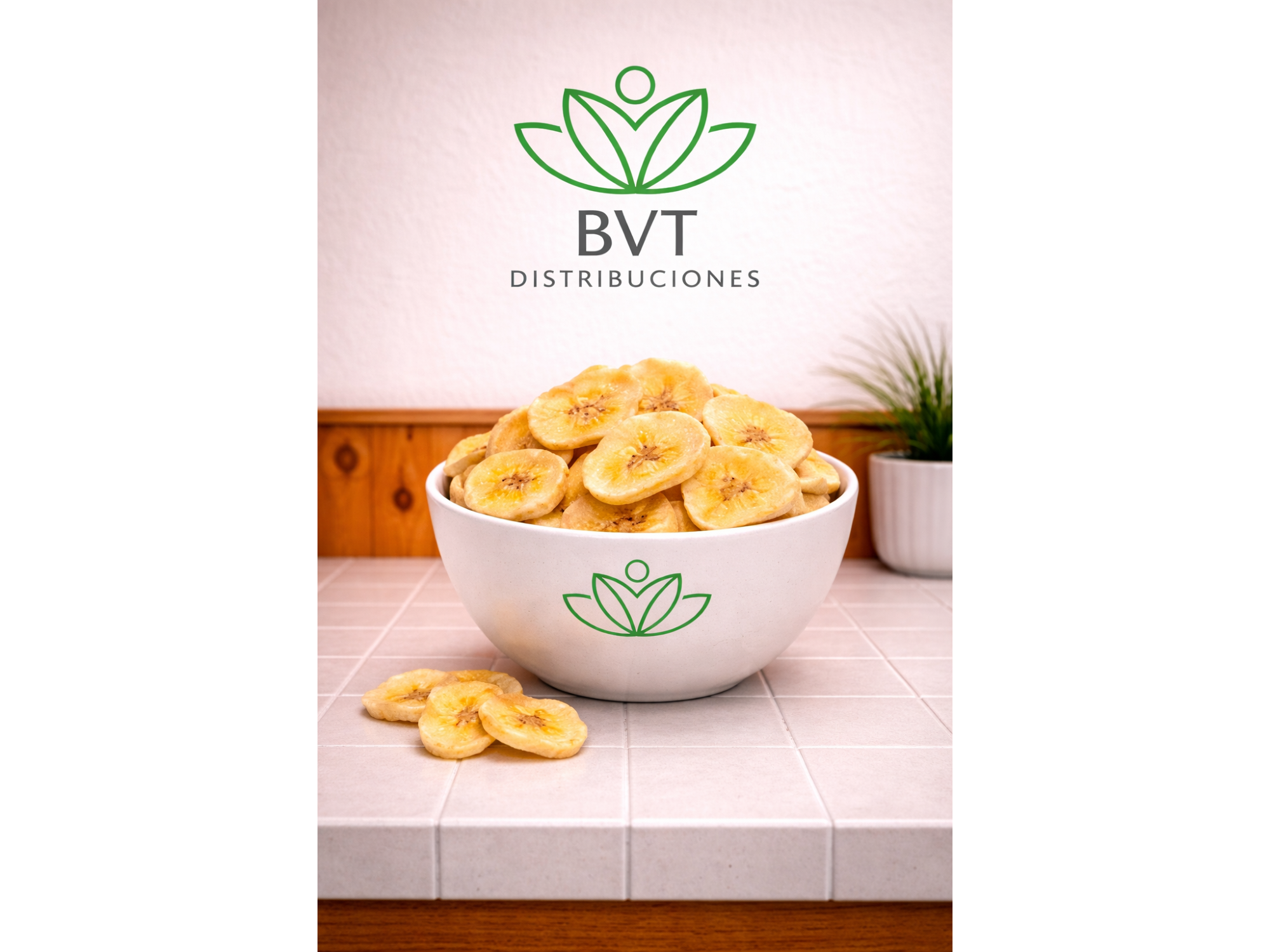 CHIPS BANANA DESHIDRATADA