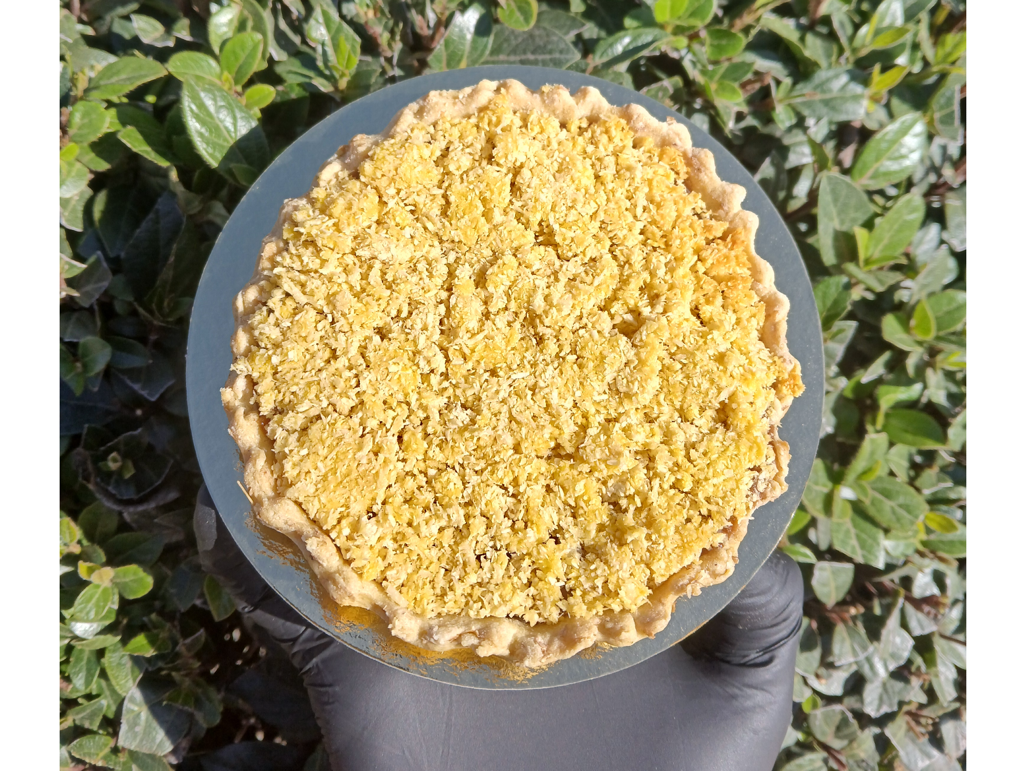 Mini tarta de coco y dulce de leche