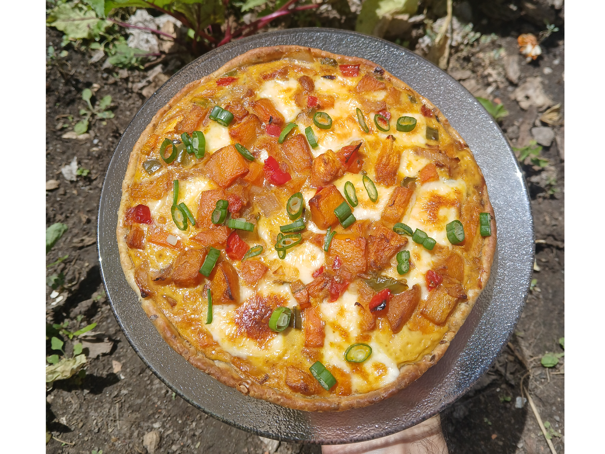 La de Calabazza y Muzza