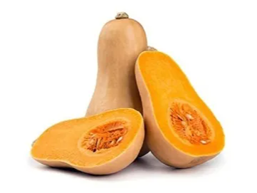 Calabacin o anco