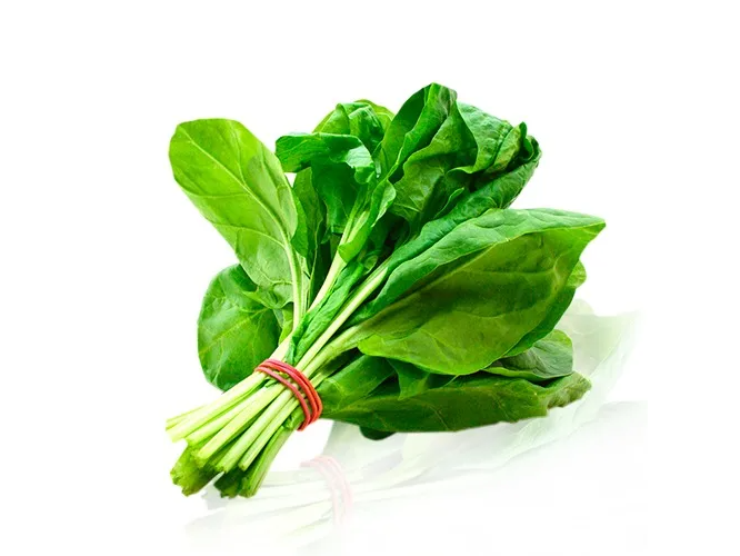 Espinaca VERANO VERDURA