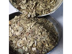 YERBA OBERA DESPALADA