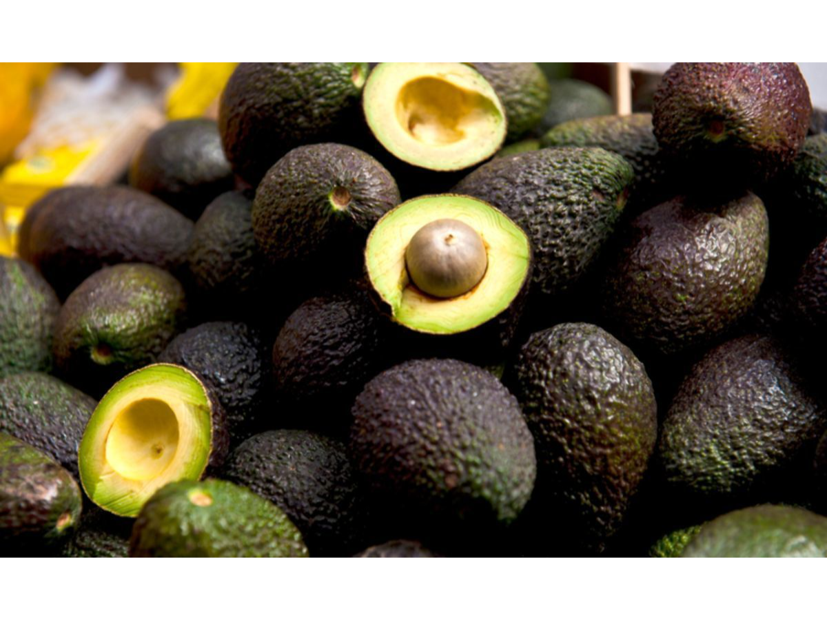 PALTA DON AMADO / CECILIA / x UNID
