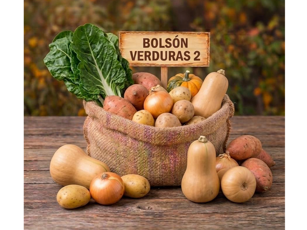 BOLSON VERDURAS 2