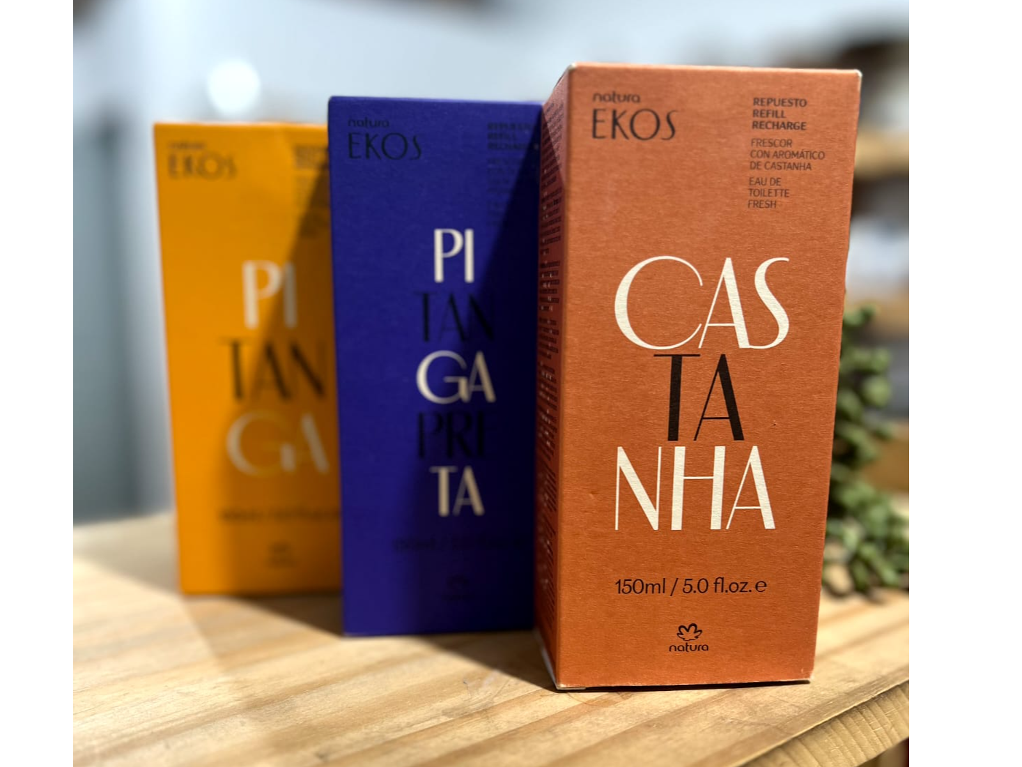 REPUESTOS DE FRESCORES EKOS