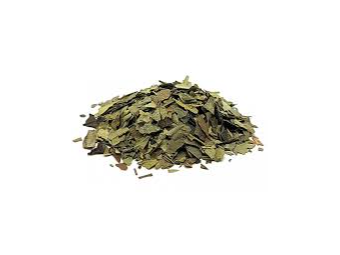 Boldo 50g