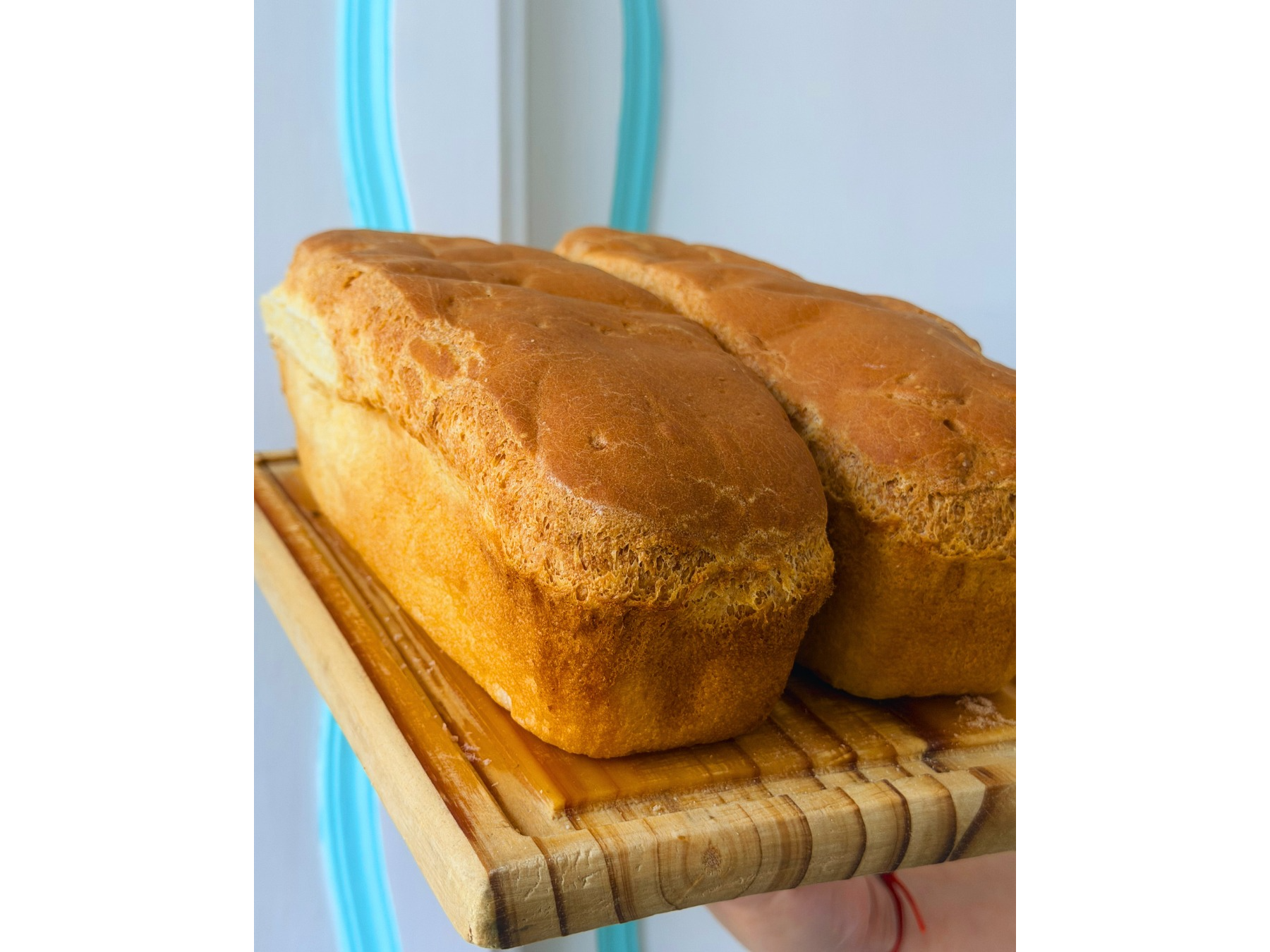 Pan de Molde SIN GLUTEN MUNDO SIN TACC