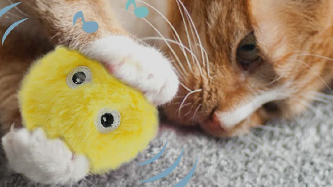 Juguetes y accesorios Beepaw