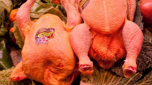 POLLOS Y DERIVADOS