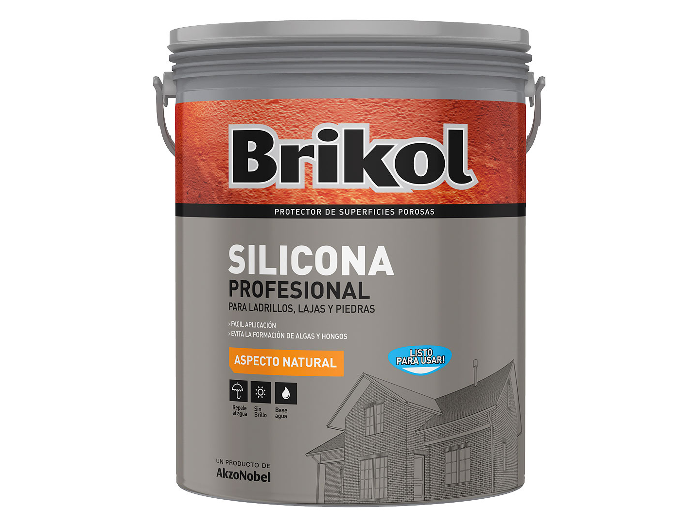 Brikol Silicona