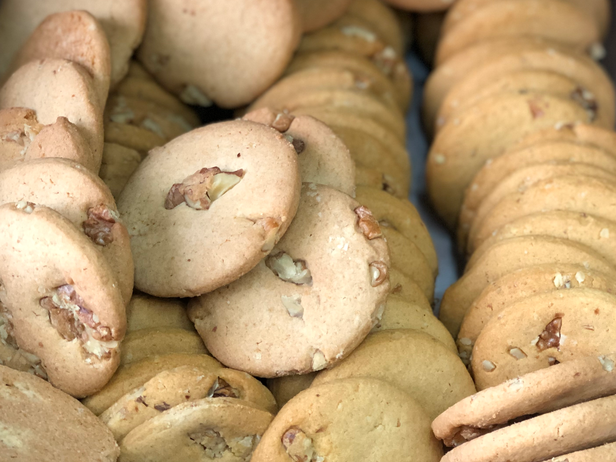 GALLETITAS C NUECES